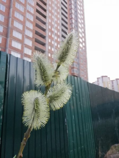Новини за 27.04.2021